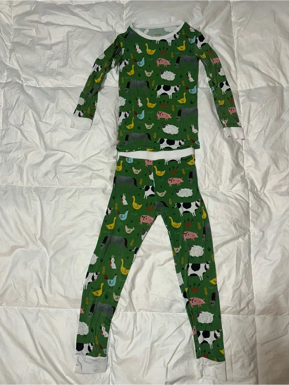 Little Sleepies Green Farm Animal Pajama Set